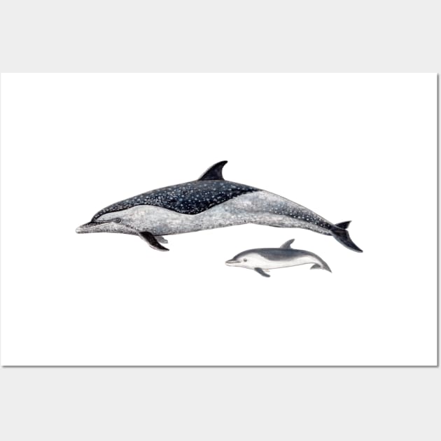 Pantropical spotted dolphin Wall Art by chloeyzoard